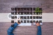 轻松掌控网站流量，揭秘五大查询网站流量的插件，网站流量管理秘籍，五大高效插件大揭秘