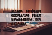 深入解析，网站流量构成查询全攻略，网站流量构成全面揭秘，查询攻略大揭秘