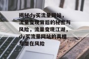 揭秘dy买流量网站，流量变现背后的秘密与风险，流量变现江湖，dy买流量网站的真相与潜在风险