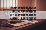 揭秘网站流量费用之谜，你上网真的需要付费吗？网站流量费用真相大揭秘，上网付费真相揭晓