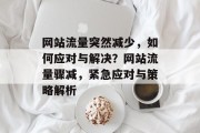 网站流量突然减少，如何应对与解决？网站流量骤减，紧急应对与策略解析