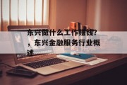 东兴做什么工作赚钱？，东兴金融服务行业概述
