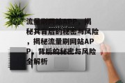 流量刷网站APP，揭秘其背后的秘密与风险，揭秘流量刷网站APP，背后的秘密与风险全解析
