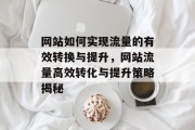 网站如何实现流量的有效转换与提升，网站流量高效转化与提升策略揭秘