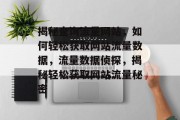 揭秘查询流量网站，如何轻松获取网站流量数据，流量数据侦探，揭秘轻松获取网站流量秘密