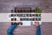 什么企业可以赚钱?,新兴科技公司盈利模式探索,如何找到最具前景的企业 什么企业可以赚钱?,新兴科技公司盈利模式探索,如何找到最具前景的企业