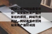 揭秘，哪种网站最受欢迎？深度解析用户偏好背后的原因，网站热度揭秘，揭秘最受欢迎网站及用户偏好成因