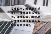 深度解析，网站品论插件的工作原理与应用实例，详细解读，网站品论插件的运作方式与实际应用案例分析
