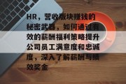 HR,营收版块赚钱的秘密武器,如何通过有效的薪酬福利策略提升公司员工满意度和忠诚度,深入了解薪酬与绩效奖金