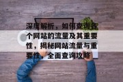 深度解析，如何查询各个网站的流量及其重要性，揭秘网站流量与重要性，全面查询攻略
