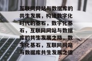 互联网网站与数据库的共生发展，构建数字化时代的基石，数字化基石，互联网网站与数据库的共生发展之路，数字化基石，互联网网站与数据库共生发展之道