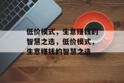 低价模式，生意赚钱的智慧之选，低价模式，生意赚钱的智慧之选