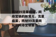 揭秘99流量网站，网络营销的新宠儿，流量盛宴，揭秘99流量网站的网络营销魅力