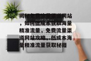 揭秘免费流量渠道网站，如何低成本获取海量精准流量，免费流量渠道网站攻略，低成本海量精准流量获取秘籍