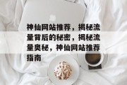 神仙网站推荐，揭秘流量背后的秘密，揭秘流量奥秘，神仙网站推荐指南