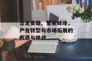 立足安徽、繁荣蚌埠,产业转型与市场拓展的机遇与挑战