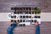 揭秘网站流量前100，揭秘热门网站背后的秘密，流量揭秘，探秘网站流量前100背后的热门秘密