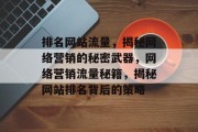 排名网站流量，揭秘网络营销的秘密武器，网络营销流量秘籍，揭秘网站排名背后的策略