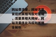 网站费流量，揭秘流量背后的真相与应对策略，流量真相大揭秘，网站流量优化与应对策略全解析