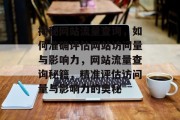 揭秘网站流量查询，如何准确评估网站访问量与影响力，网站流量查询秘籍，精准评估访问量与影响力的奥秘