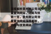 深度解析意大利公司流量查询网站，功能与优势一览，意大利公司流量查询网站深度解析，功能与优势揭秘