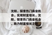 沈阳，探索热门商业机会，实现财富增长，沈阳，探索热门商业机会，助力财富增长之旅