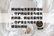 揭秘网站流量预警指标，守护网站安全与增长的利器，网站流量预警，守护安全与增长的关键指标揭秘