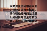 网站流量密码推荐大全，揭秘高效引流秘籍，助你轻松提升网站流量！揭秘网站流量增长攻略，高效引流秘籍大公开