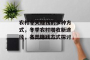 农村冬天赚钱的多种方式，冬季农村增收新途径，各类赚钱方式探讨