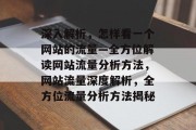 深入解析，怎样看一个网站的流量—全方位解读网站流量分析方法，网站流量深度解析，全方位流量分析方法揭秘