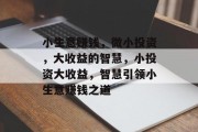小生意赚钱，微小投资，大收益的智慧，小投资大收益，智慧引领小生意赚钱之道