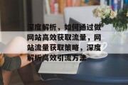 深度解析，如何通过做网站高效获取流量，网站流量获取策略，深度解析高效引流方法