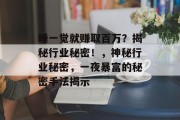 睡一觉就赚取百万？揭秘行业秘密！，神秘行业秘密，一夜暴富的秘密手法揭示