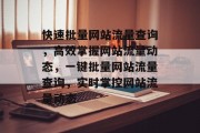 快速批量网站流量查询，高效掌握网站流量动态，一键批量网站流量查询，实时掌控网站流量动态