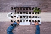 使用流量查看网站信息，揭秘网络数据背后的秘密，网络流量揭秘，解码网站信息背后的数据秘密