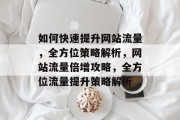 如何快速提升网站流量，全方位策略解析，网站流量倍增攻略，全方位流量提升策略解析