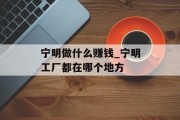 宁明做什么赚钱_宁明工厂都在哪个地方