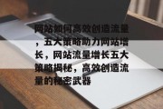 网站如何高效创造流量，五大策略助力网站增长，网站流量增长五大策略揭秘，高效创造流量的秘密武器