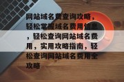 网站域名费查询攻略，轻松掌握域名费用信息，轻松查询网站域名费用，实用攻略指南，轻松查询网站域名费用全攻略