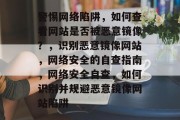 警惕网络陷阱，如何查看网站是否被恶意镜像？，识别恶意镜像网站，网络安全的自查指南，网络安全自查，如何识别并规避恶意镜像网站陷阱