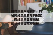 网站流量简称解析，揭秘网络流量背后的秘密，网络流量奥秘揭秘，网站流量简称全解析