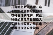 几亩地怎么做钱赚？这个答案可能会颠覆你对农村生活的理解，农业种植的高效率和低投入实现乡村致富，从几亩地看现代化农业发展