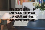 网站遭遇流量攻击，揭秘攻击手段及应对策略，网站流量攻击揭秘，手段与应对策略全解析