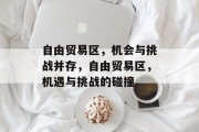 自由贸易区，机会与挑战并存，自由贸易区，机遇与挑战的碰撞