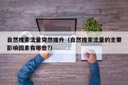 自然搜索流量突然提升（自然搜索流量的主要影响因素有哪些?）