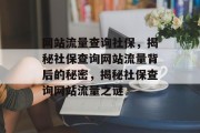 网站流量查询社保，揭秘社保查询网站流量背后的秘密，揭秘社保查询网站流量之谜