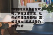 WP网站流量查看全攻略，掌握这些方法，让你的网站流量倍增！高效提升WP网站流量的独家秘籍