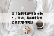 贵港如何实现财富增长?,贵港,推动财富增长的策略与实践 贵港如何实现财富增长?,贵港,推动财富增长的策略与实践