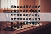 揭秘查询流量访问网站，如何高效利用大数据分析提升网站访问量，大数据赋能网站流量优化，揭秘高效提升访问量的秘诀