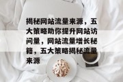 揭秘网站流量来源，五大策略助你提升网站访问量，网站流量增长秘籍，五大策略揭秘流量来源